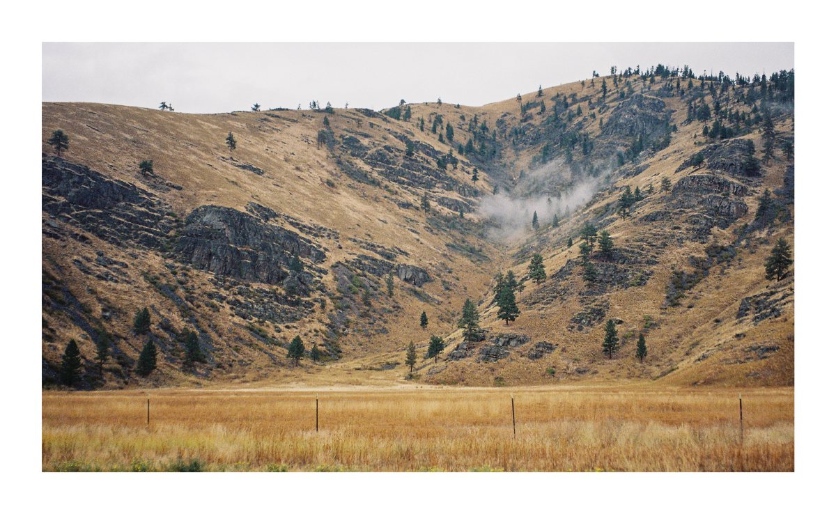 Mist drifting through a rocky, pine-dotted hillside above a meadow