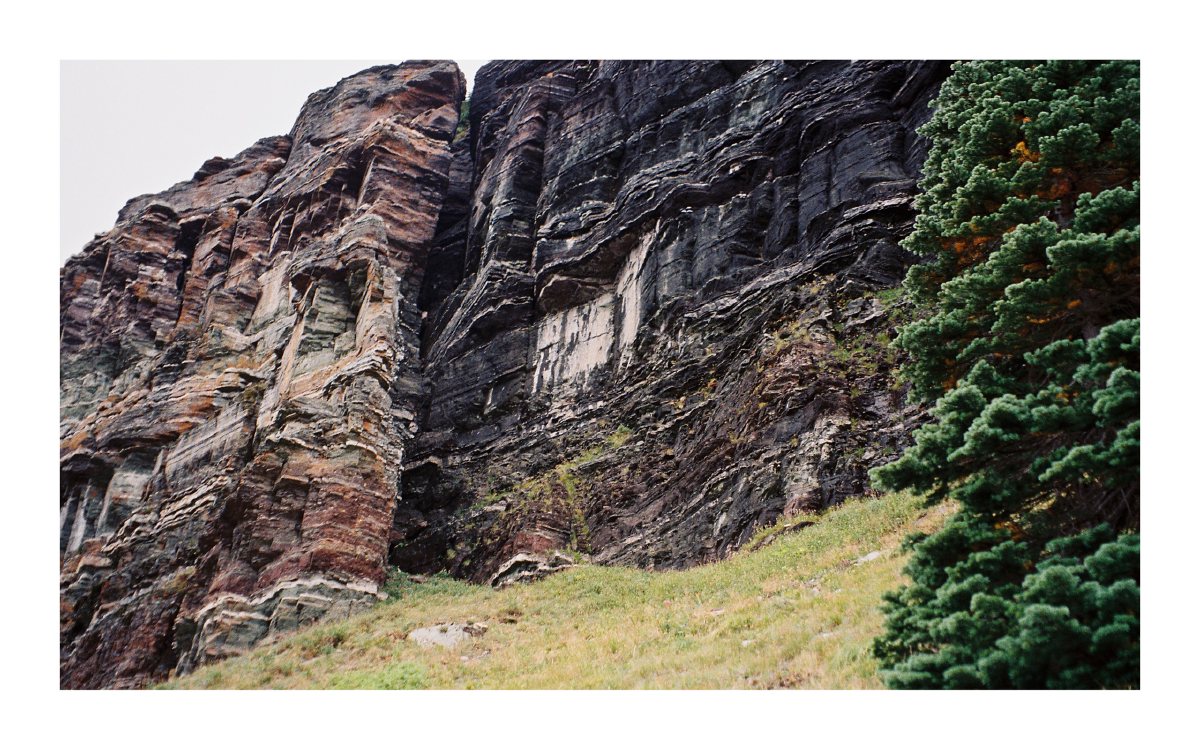 Layered dark rock cliffs rising beside an evergreen tree