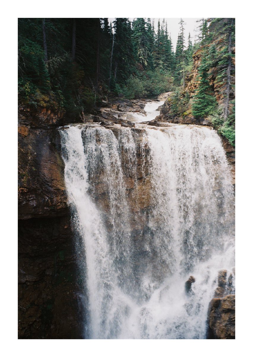 A tall waterfall plunging over dark rock in an evergreen forest