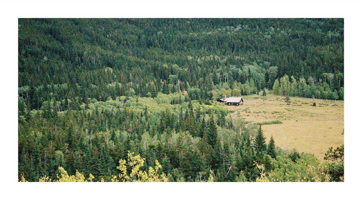 A solitary cabin and fenced meadow surrounded by dense forest