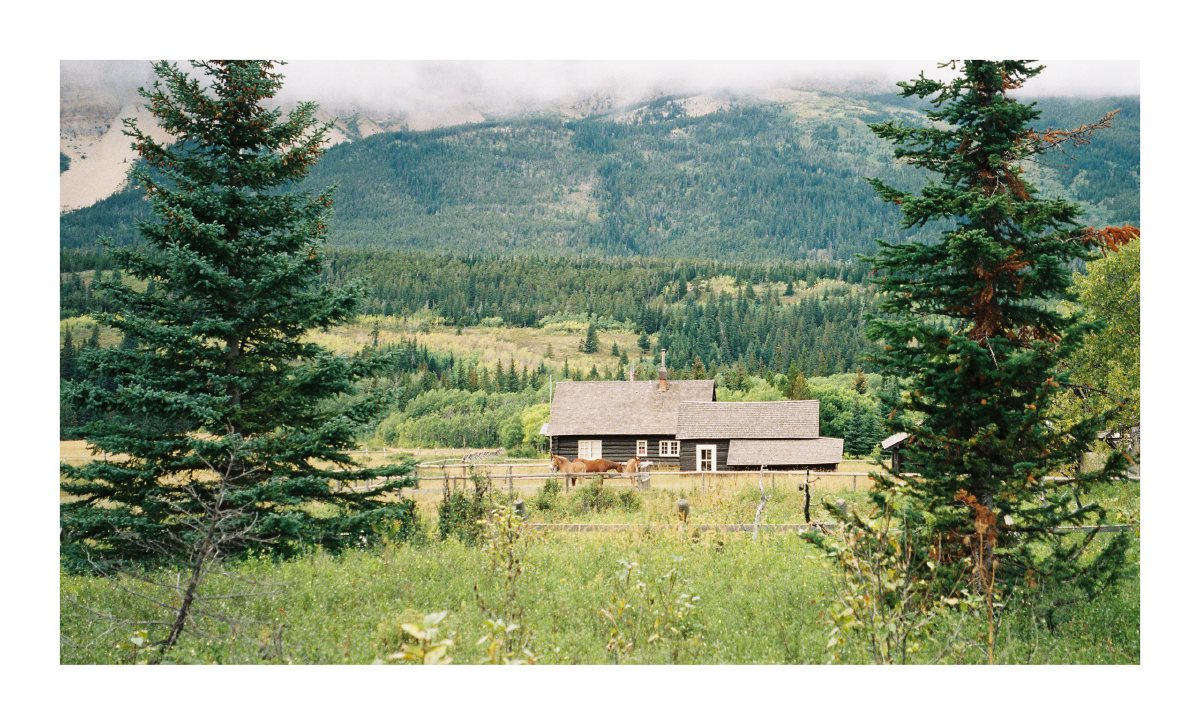 A rustic cabin and horses framed by evergreens beneath a forested mountain